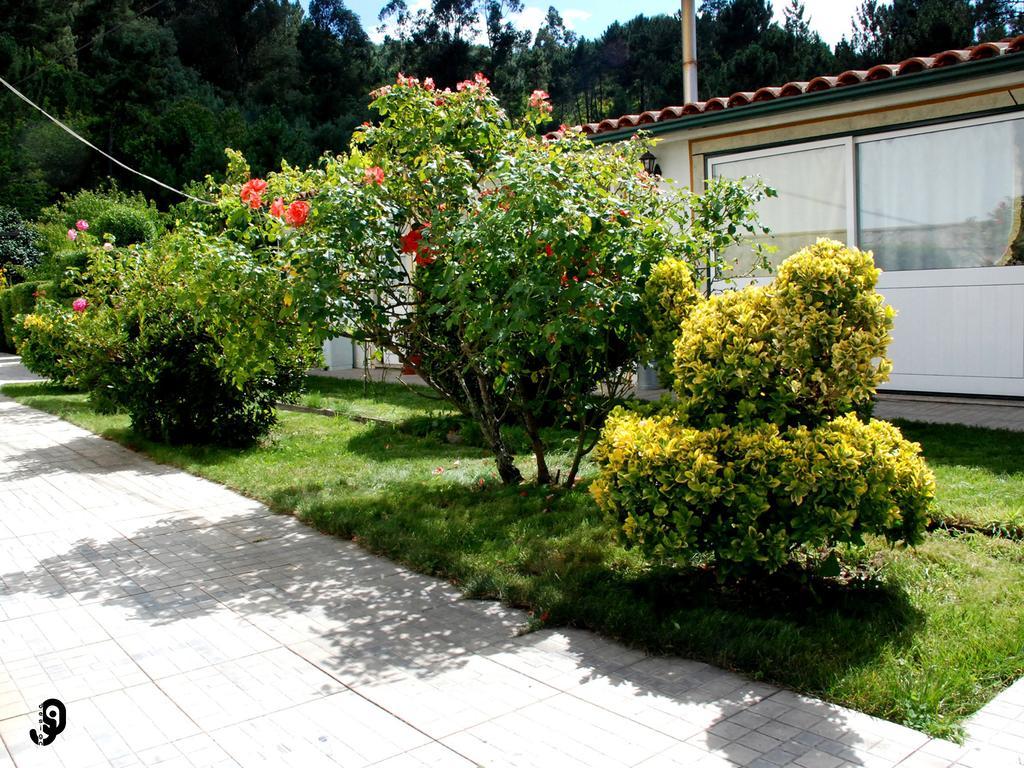 Quinta Dos Barbas ξενώνας Oliveira do Hospital Εξωτερικό φωτογραφία