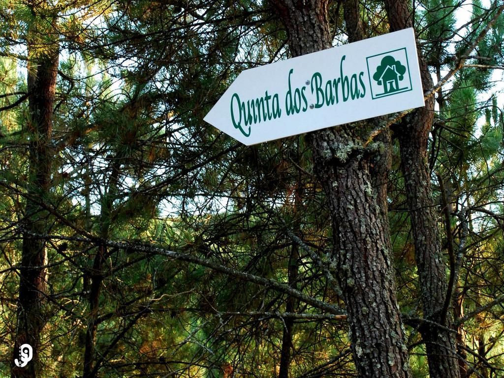 Quinta Dos Barbas ξενώνας Oliveira do Hospital Εξωτερικό φωτογραφία